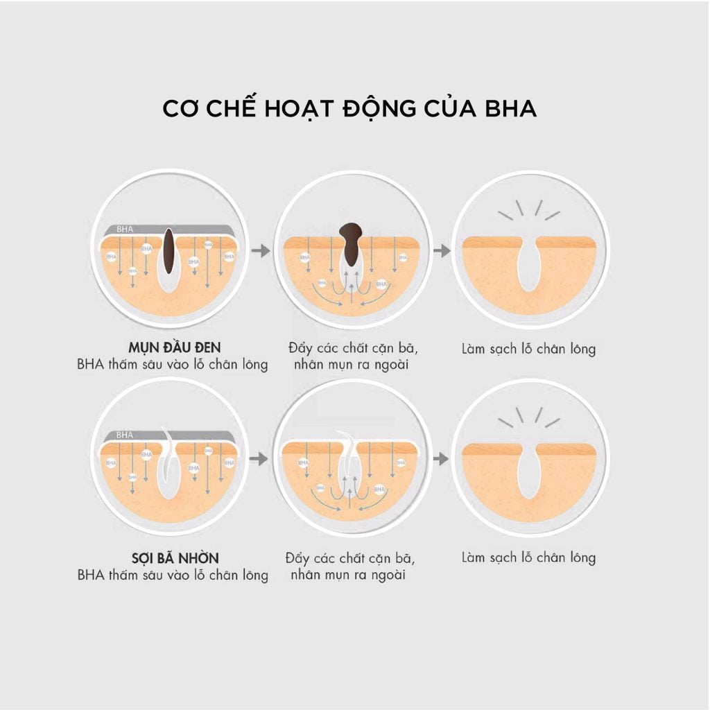 Cơ chế hoạt động của hoạt chất BHA